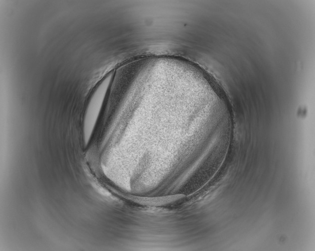 X0000091530393200709141439