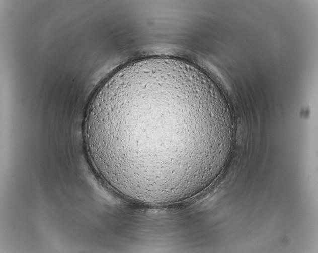 X0000091530394200709141439
