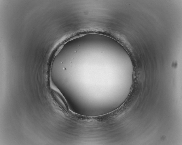 X0000091530395200709141439