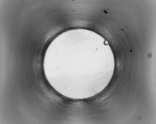 X0000091530396200709141439