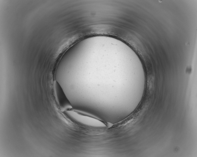 X0000091530397200709141439