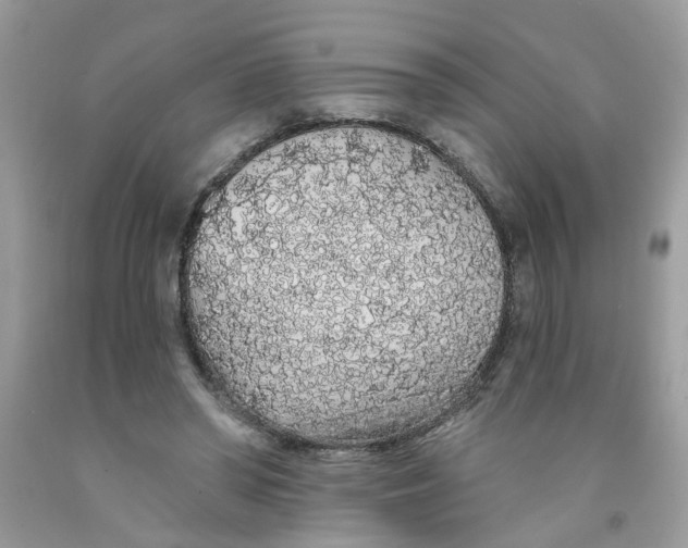 X0000091530398200709141439