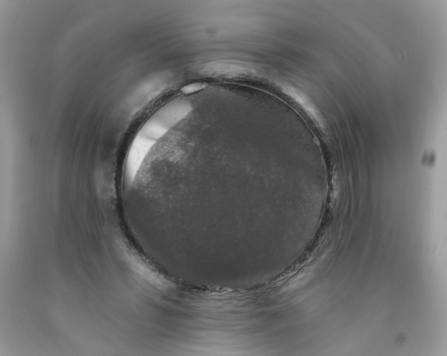 X0000091530399200709141439