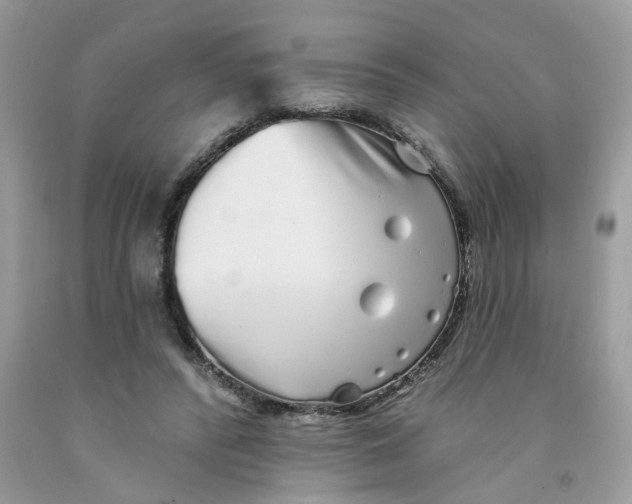X0000091530400200709141439