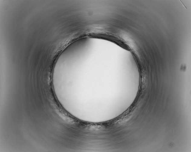 X0000091530401200709141439