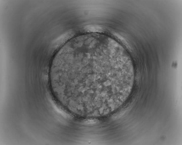 X0000091530402200709141439