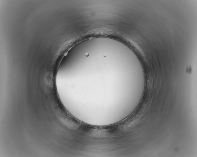 X0000091530403200709141439