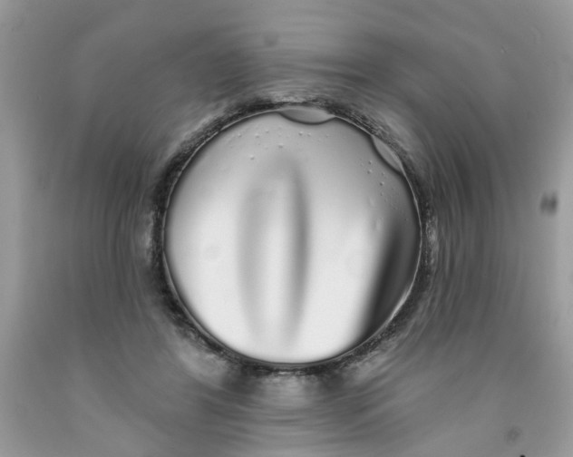 X0000091530404200709141439