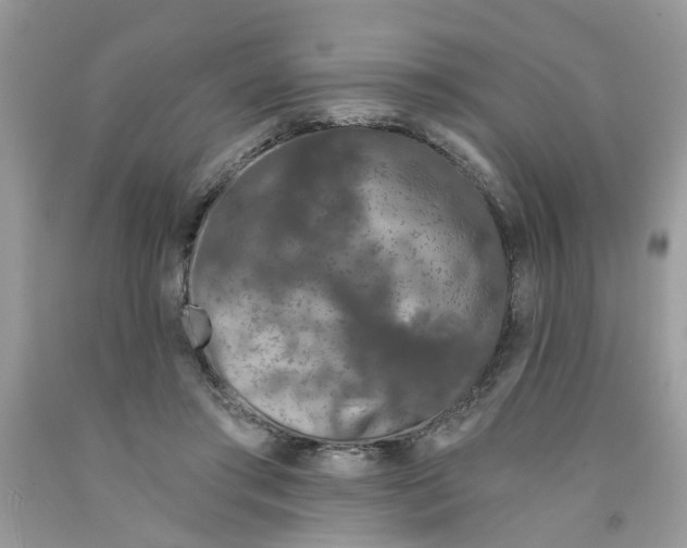 X0000091530405200709141439