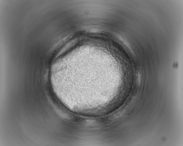 X0000091530406200709141439