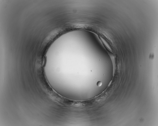 X0000091530407200709141439
