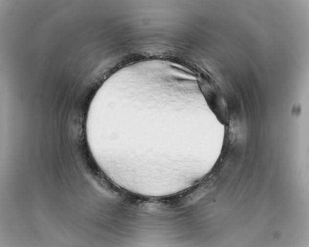 X0000091530408200709141439