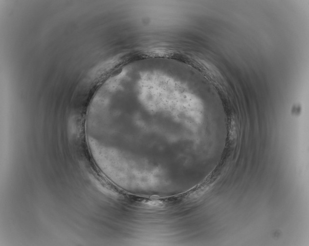 X0000091530409200709141439