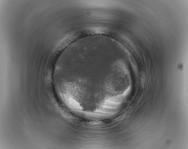 X0000091530410200709141439