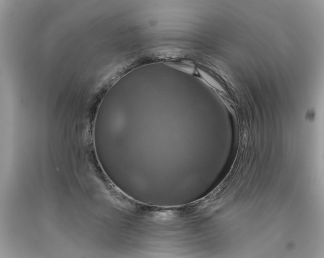 X0000091530411200709141439