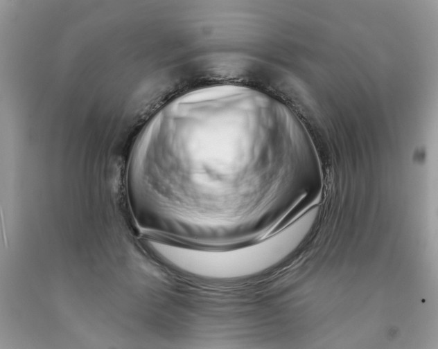 X0000091530412200709141439