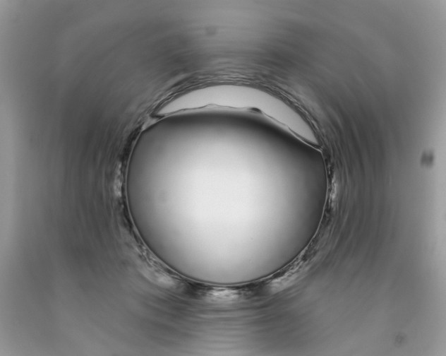X0000091530413200709141439