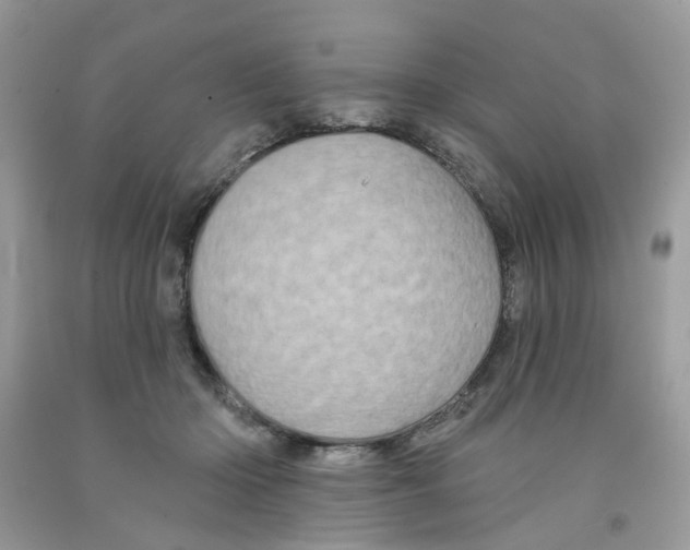 X0000091530414200709141439