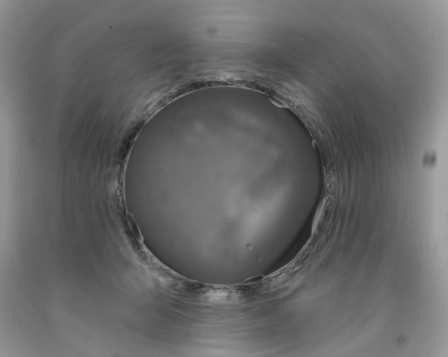 X0000091530415200709141439