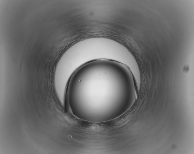X0000091530416200709141439
