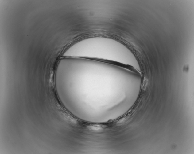 X0000091530417200709141439