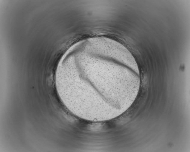 X0000091530418200709141439
