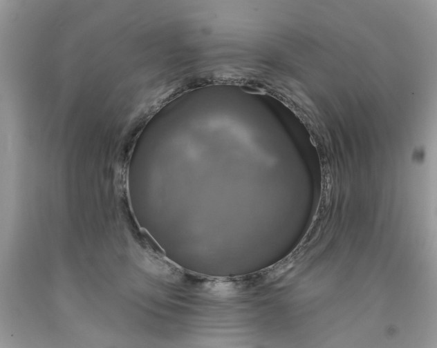 X0000091530419200709141439