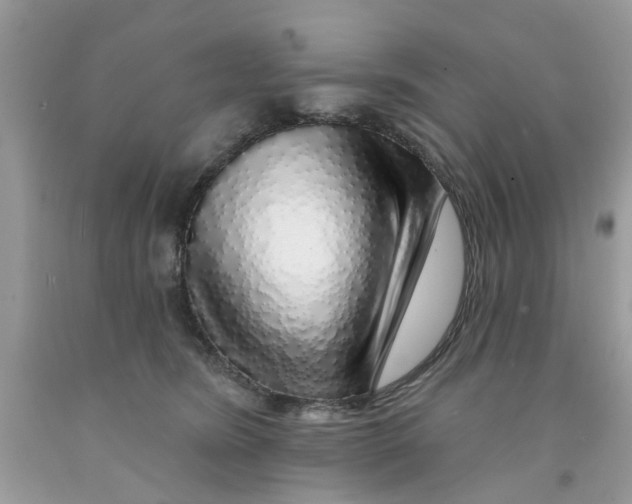X0000091530420200709141439