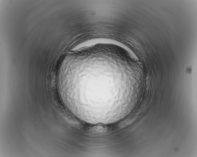 X0000091530421200709141439