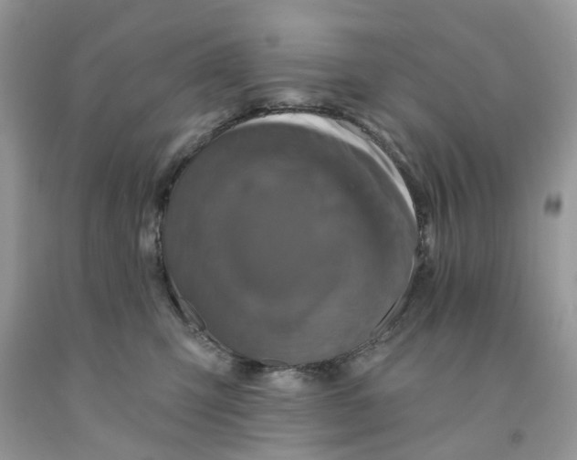 X0000091530423200709141439
