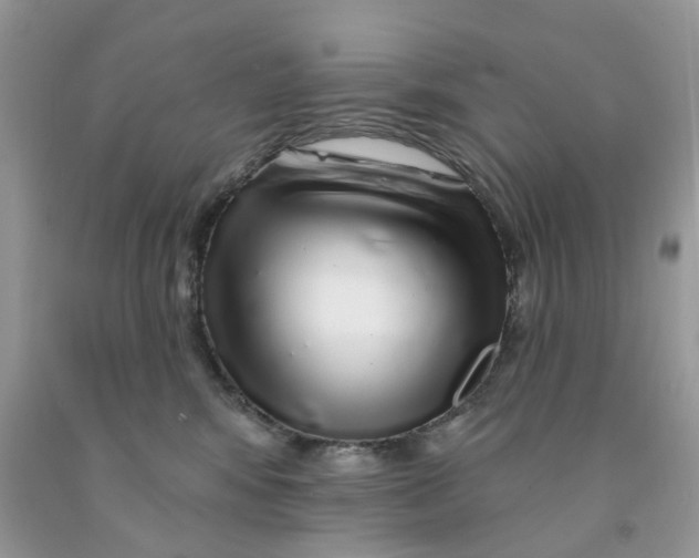 X0000091530424200709141439
