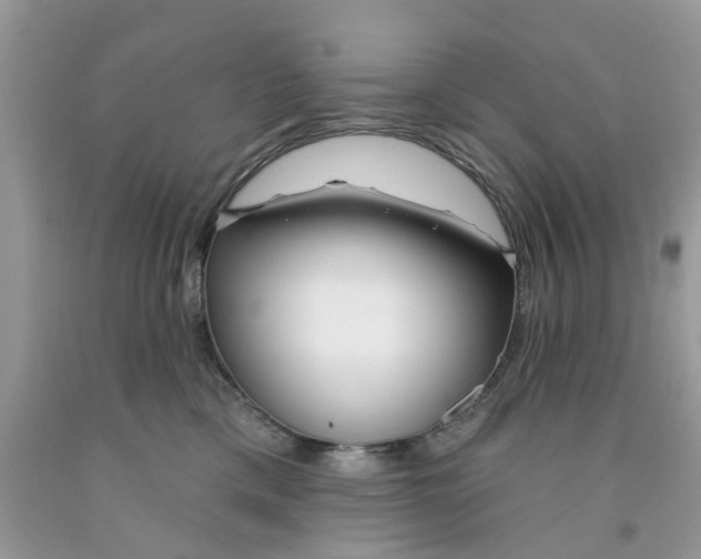 X0000091530425200709141439