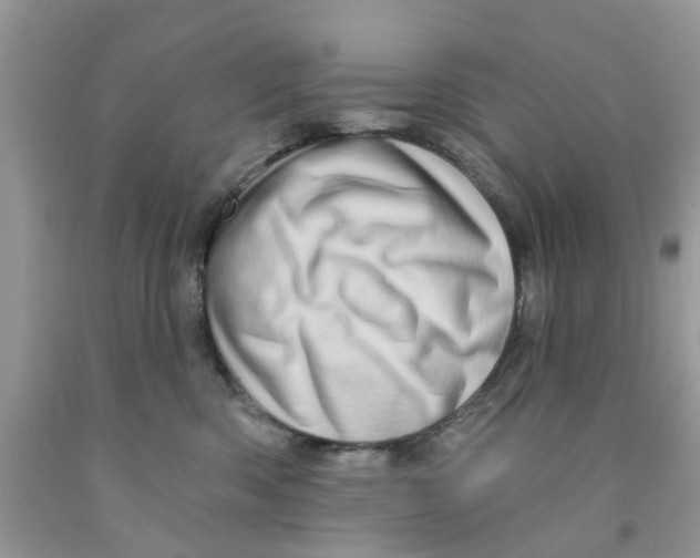 X0000091530426200709141439