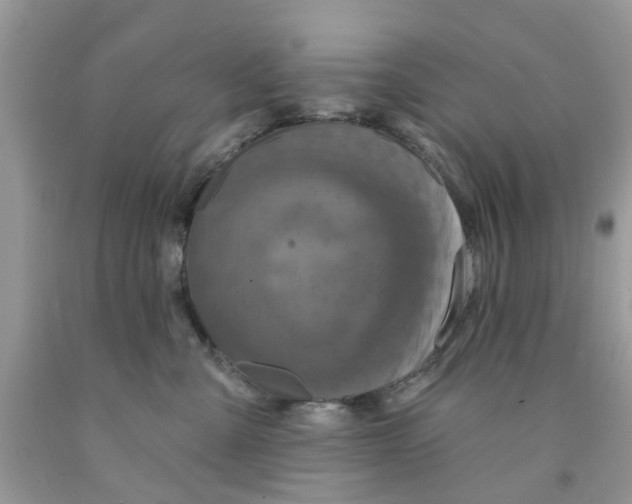X0000091530427200709141439