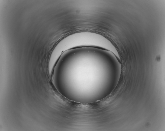 X0000091530428200709141439