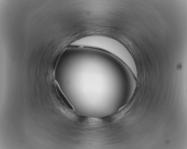 X0000091530429200709141439