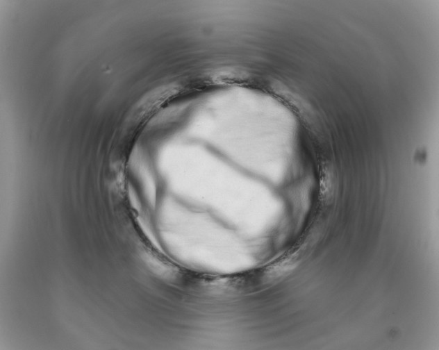 X0000091530430200709141439