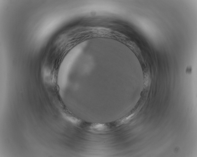 X0000091530431200709141439