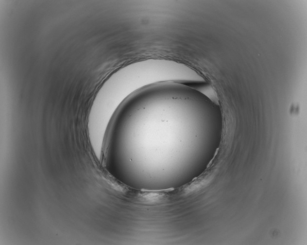X0000091530432200709141439