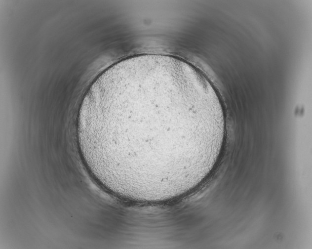 X0000091530433200709141438