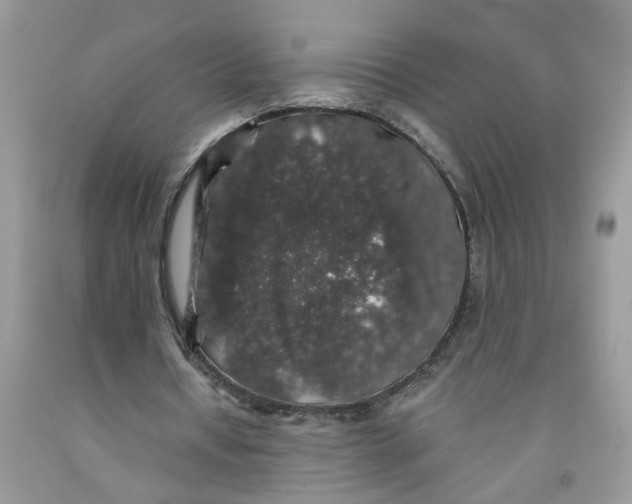 X0000091530434200709141438