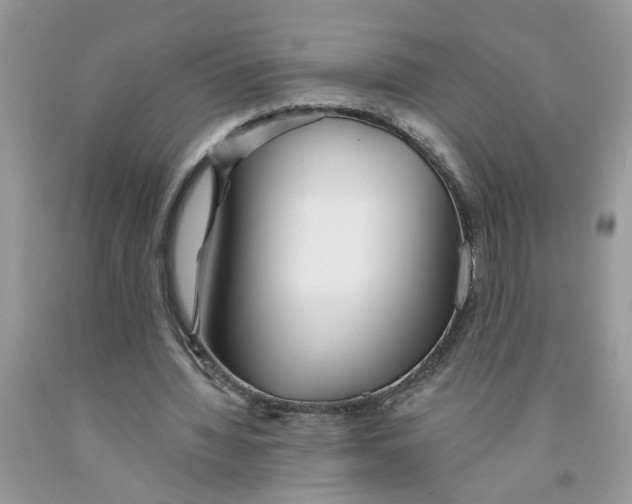 X0000091530436200709141438