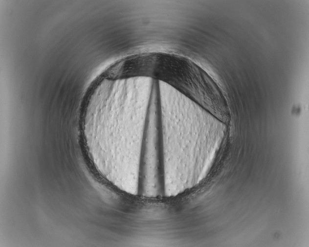 X0000091530438200709141438