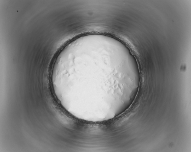 X0000091530439200709141438