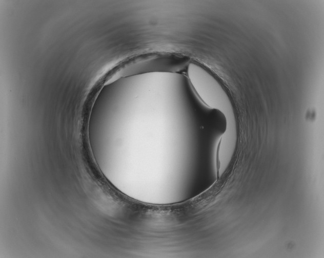 X0000091530440200709141438