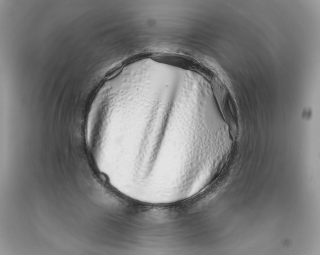X0000091530441200709141438