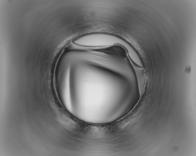 X0000091530442200709141438