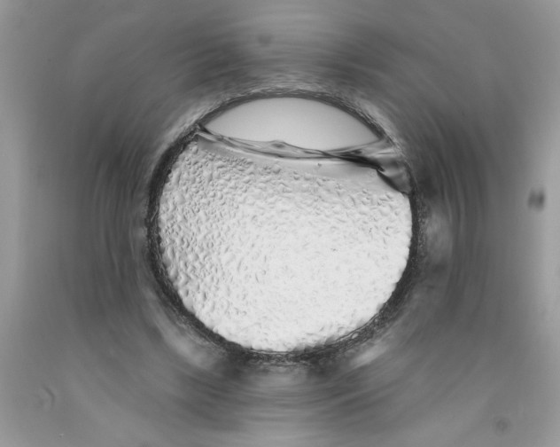 X0000091530443200709141438