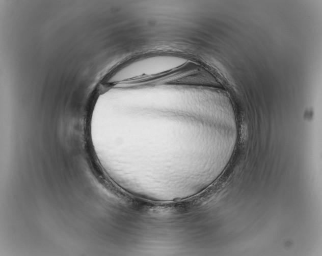 X0000091530444200709141438