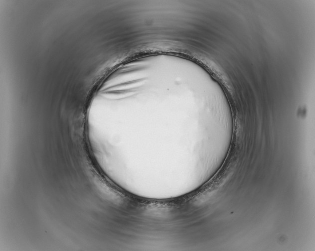 X0000091530445200709141438